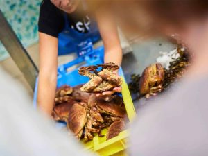 Vente de crabes sur un marché dans le Morbihan en Bretagne