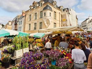 Marché aux fleurs dans le Morbihan en Bretagne