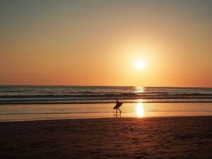 Surfeur sur la plage après une session de surf en Bretagne au coucher du soleil